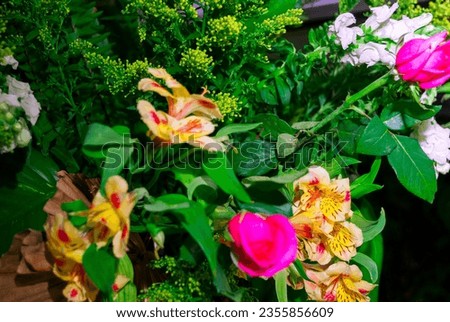 Multicolored floral arrangement made with organic flowers in outdoor space, wedding celebration and family celebration, show of love and hope.