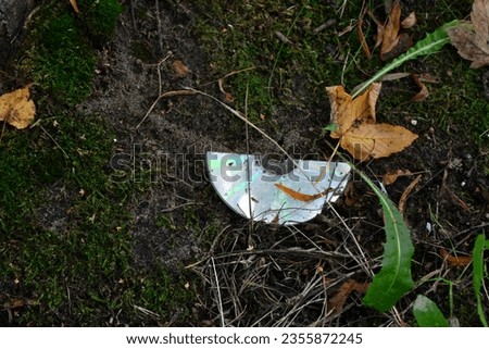 A damaged CD with data or music is lying on the ground in the forest