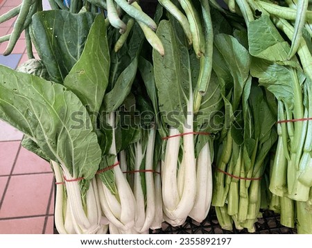 Group of organic bok choy on display at the farmer's market. Royalty-Free Stock Photo #2355892197