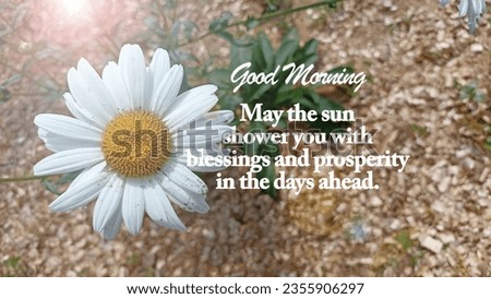 Good Morning Card with positive inspirational quote - May the sun shower you with blessings and prosperity in the day ahead. On brown background of white daisy flower plant with light. New week.