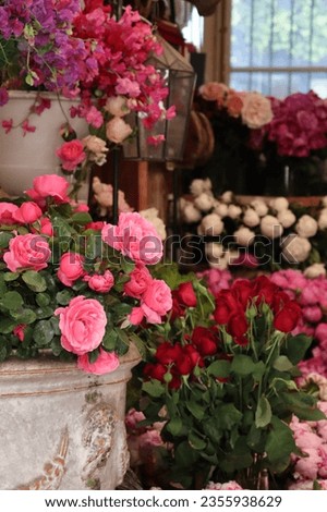 Beautiful and colourful summer flowers in an antique flower shop