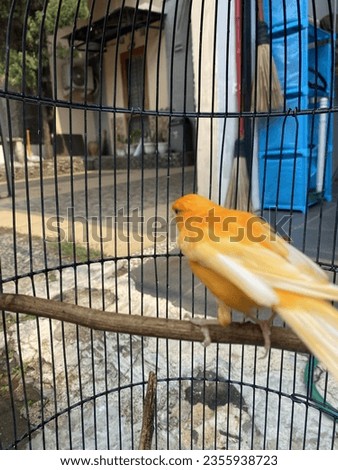 a bird in a black cage complete with equipment inside