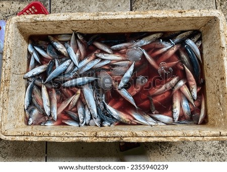 Fresh fish. Fresh fish in a box with ice. Traditional market seller