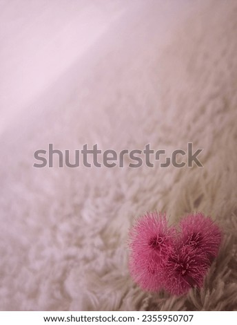 Background simple pink, flower pink, for powerpoint ect