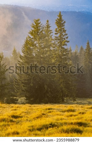 Photo of dawn in the mountains in summer