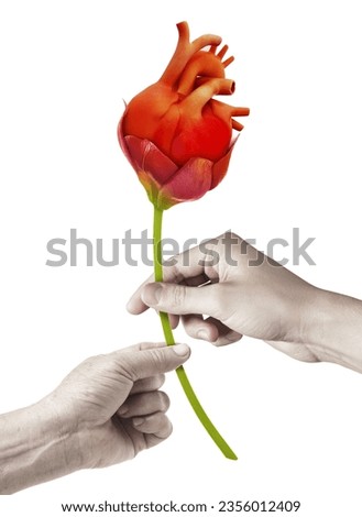World Organ Donation Day concept with a heart for transplant, saving life, and gifting life Royalty-Free Stock Photo #2356012409