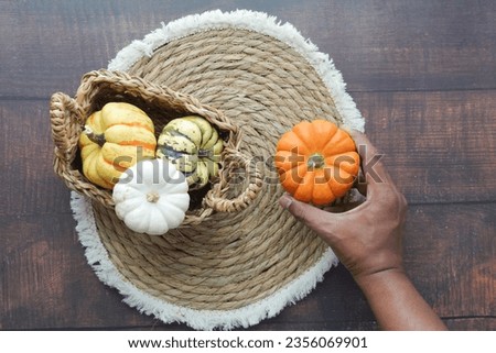  hand holding mini pumpkins wooden background 