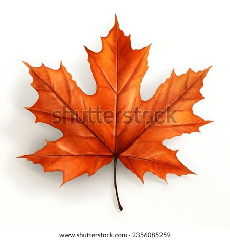 an orage maple leaf in the white background