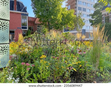 Urban green oasis for climate adaptation and biodiversity, city gardening Royalty-Free Stock Photo #2356089447