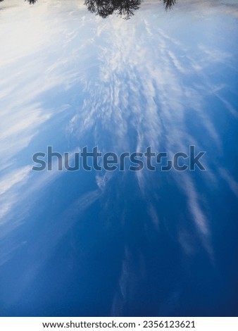Blue sky and white clouds. Upside down trees. Royalty-Free Stock Photo #2356123621