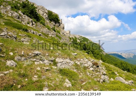 mountainside with stones, grass and cliff against the distant horizon and sky with clouds during the day in Europe, wide angle
