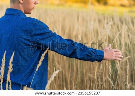hand caresses the tall grass