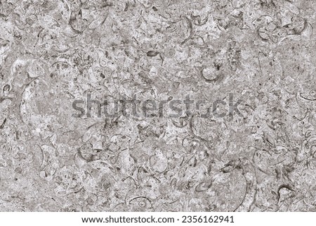  Natural Marble High Resolution Marble texture background, Italian marble slab, The texture of limestone Polished natural granite marbel for Ceramic Floor Tiles And Wall Tiles.