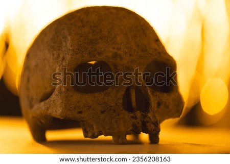 Skull and yellow bokeh blurred lights with copy space and wooden surface. Halloween, light, colour and shape concept digitally generated image.