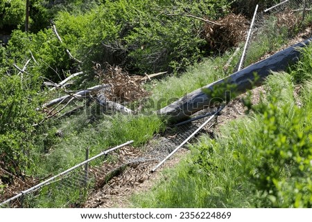 A fallen tree on a chain link fence. Environmental damage.
