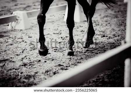 In the black-white photograph, a horse is galloping quickly across a sandy arena for equestrian competition. The grace of the sport of horse riding. Sportsmanship and the beauty of animals in motion.
