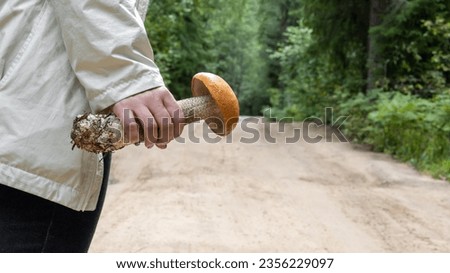 A mushroom in the hand of a man who is standing on the road in the forest. Background picture.