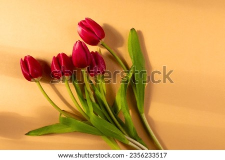 Bunch of red tulips and copy space on orange background. Flower, plant, shape, nature and colour concept.