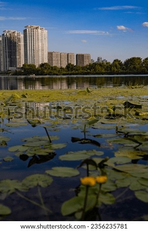 Beautiful urban summer landscape: Multi-storey buildings, a river and a park.
Water overgrown with water lilies
