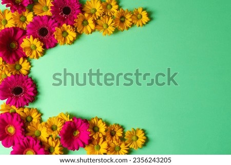 Yellow and pink flowers and copy space on green background. Flower, plant, shape, nature and colour concept.