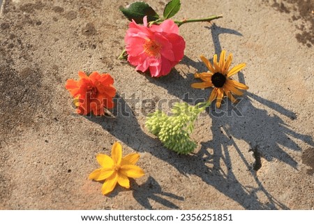 Cut flowers in vibrant colors: pink, yellow, orange, and green, set against a stone background with interplay of light and shadow.