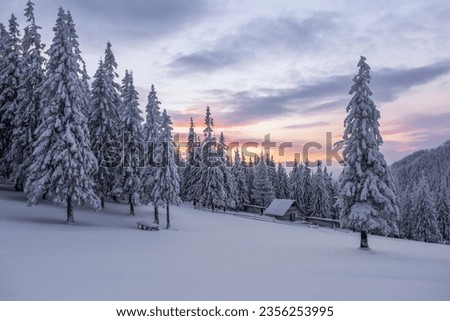 Landscape on winter morning. Old wooden forester's house on the lawn covered with snow. Snowdrifts. Christmas wonderland. High mountain. Snowy wallpaper background. Nature scenery. Royalty-Free Stock Photo #2356253995