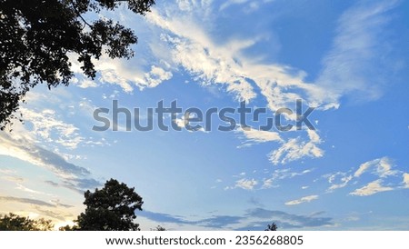 The sky in the evening is turquoise. In the sky there are many clouds of various kinds. In the picture there are small and large trees mixed together.