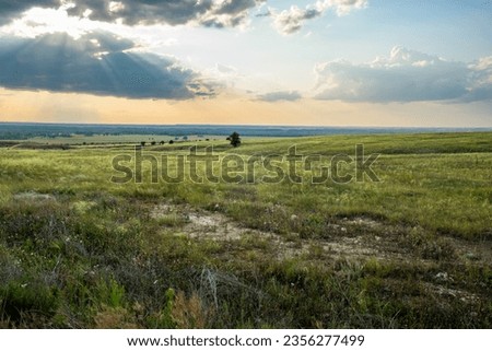 Landscape, evening, beautiful sky before sunset, steppe and ravines, trees on the horizon, bank of the Don River, Volgograd region, Russia.
 Royalty-Free Stock Photo #2356277499