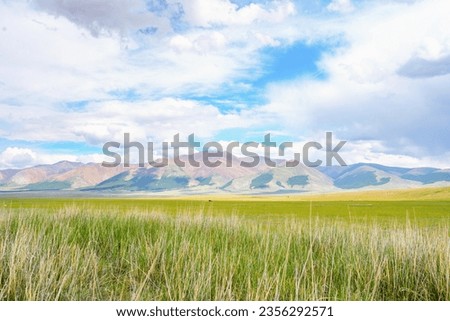 View of the Sailugem ridge in Altai
