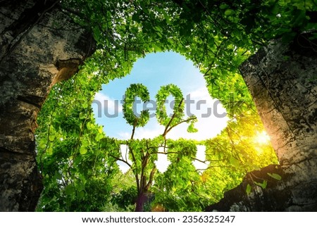 Concept depicting the issue of carbon dioxide emissions and its impact on nature in the form shape of a co2 symbol located in a lush forest. Reduce CO2 emission concept. Royalty-Free Stock Photo #2356325247