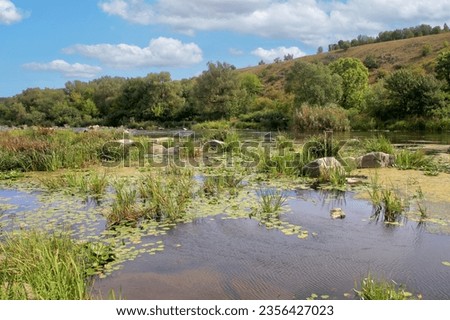 The photo was taken in Ukraine. The picture shows the shallow river bed of the Southern Bug in a hot summer.