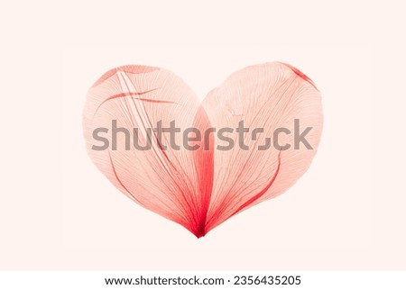 Abstract shape heart from pink red delicate flower petals, natural texture pressed leaf on pele pink background. Macro texture, minimal botanical design card, wedding invitation, monochrome aesthetic Royalty-Free Stock Photo #2356435205