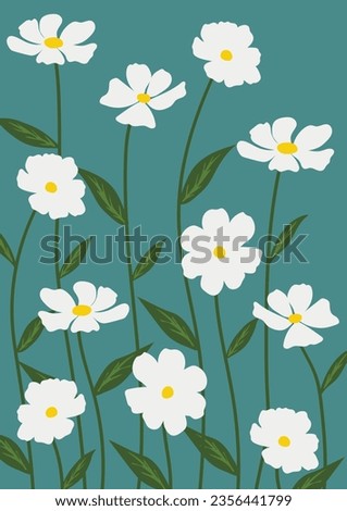 Daisy flower background.Eps 10 vector