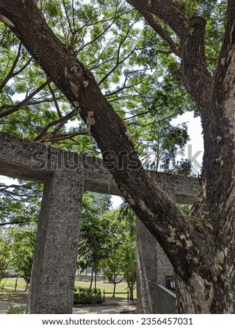 garden gate wall with a beautiful view of a forest of trees in the Wisdom Park area of Gadjah Mada University, Yogyakarta September 3, 2023 Royalty-Free Stock Photo #2356457031