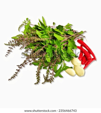 Isolated picture of basil leaves  Red hot peppers and garlic are the herbs in the dish.
