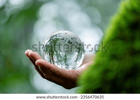 Hands Holding Globe Glass In Green Forest. Forest conservation concept. Environment Concept. elements of this image furnished by NASA