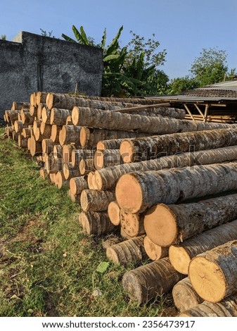 Abundance of Timber Logs Stacked at a Busy Wood Cutting Site, Illustrating the Forestry Industry's Raw Materials Royalty-Free Stock Photo #2356473917