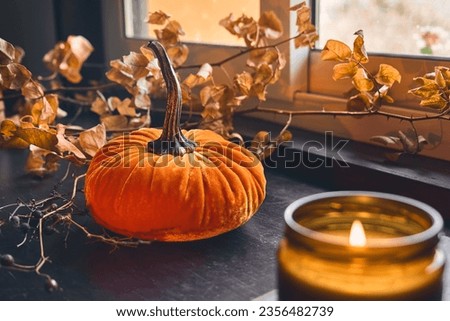 Cozy autumn still life with pumpkin and burning candle on the windowsill. Autumn home decor. Cozy fall mood.