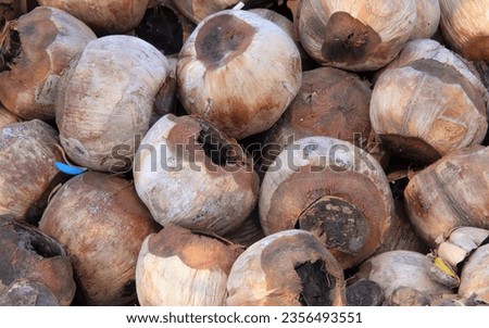 a photography of a pile of nuts with a blue tag on them, acornous looking, unripe, unripe, and unripe onions are.