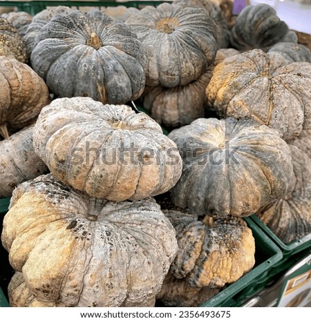a photography of a pile of pumpkins sitting on top of a table, spaghetti squashs are piled in a green crate at a market.