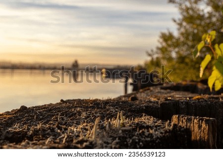 Foreground focus with shallow depth of field on river background good for product placement composite image