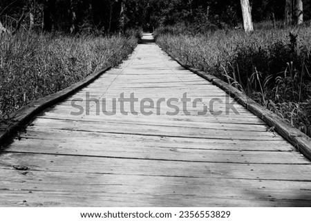 Wood plank boardwalk footbridge over the marsh
