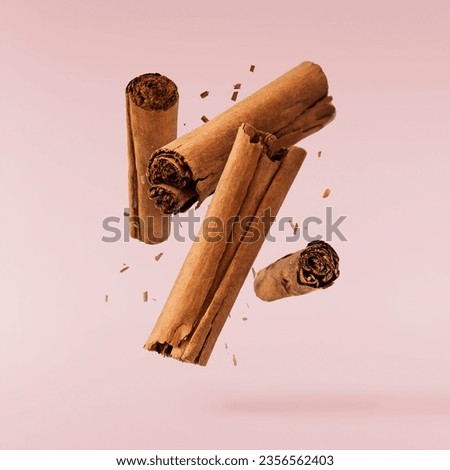 Fresh dried raw Cinnamon stick falling in the air isolated on pink backround. Food spices levitation or zero gravity conception. High resolution image. Royalty-Free Stock Photo #2356562403