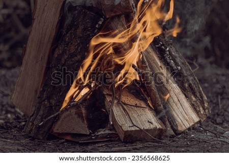 A pyramid of wooden logs for a bonfire in the forest. Make a fire. Flammable material. Rest in nature. Go hiking. Wooden logs. Fire hazard. The warmth of fire. Open fire. Royalty-Free Stock Photo #2356568625