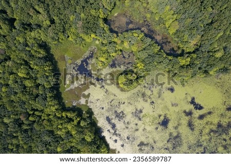 
Aerial view of swamps and wetlands near Ann Arbor, Michigan, United States. 