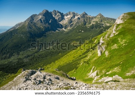 Nature's grandeur captured in this photo as the High Tatras rise above the lush green meadows of the Belianske Tatras.