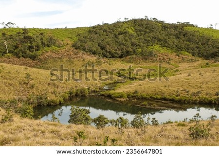 River on the Horton Plains, Sri Lanka. Close up background shot, blue sky with copy space for text