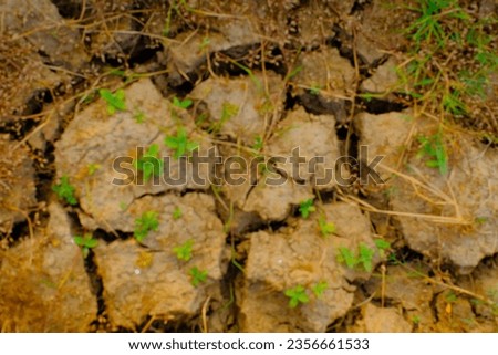 Textured Background Photography. Background photo of cracked ground in a harvested rice field. Deserted Earth, Barren Land and Peaceful Nature in Remote. Bandung - Indonesia