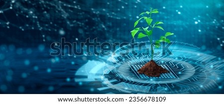 Tree with soil growing on  the converging point of computer circuit board. Blue light and wireframe network background. Green Computing, Green Technology, Green IT, csr, and IT ethics Concept. Royalty-Free Stock Photo #2356678109