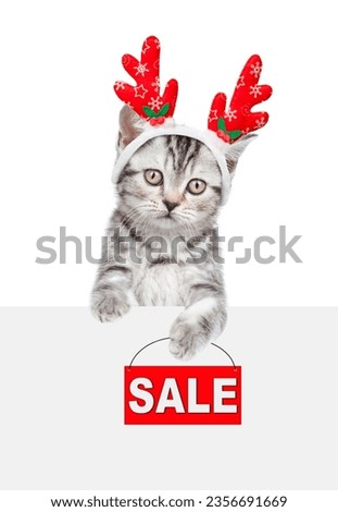 Cute kitten dressed like santa claus reindeer  Rudolf looking above empty white banner and showing signboard with labeled "sale". isolated on white background.